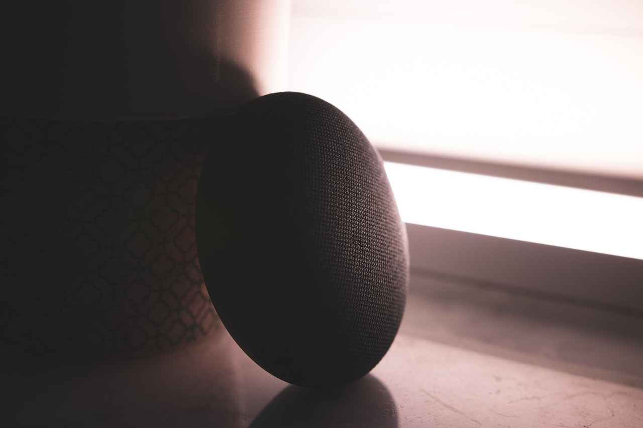 4. Smart Speakers