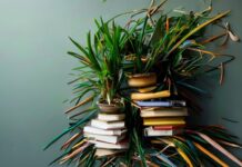 The Messy, Wonderful Truth About Simplifying Your Life The Untidy, Beautiful Reality of Simplifying Your Life