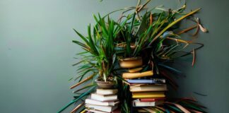 The Messy, Wonderful Truth About Simplifying Your Life The Untidy, Beautiful Reality of Simplifying Your Life