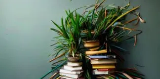 The Messy, Wonderful Truth About Simplifying Your Life The Untidy, Beautiful Reality of Simplifying Your Life