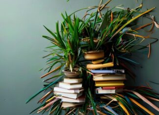 The Messy, Wonderful Truth About Simplifying Your Life The Untidy, Beautiful Reality of Simplifying Your Life