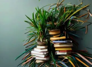 The Messy, Wonderful Truth About Simplifying Your Life The Untidy, Beautiful Reality of Simplifying Your Life