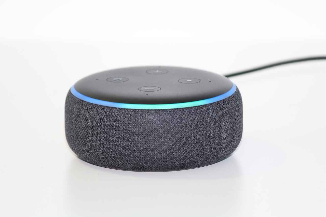 1. Smart Speakers