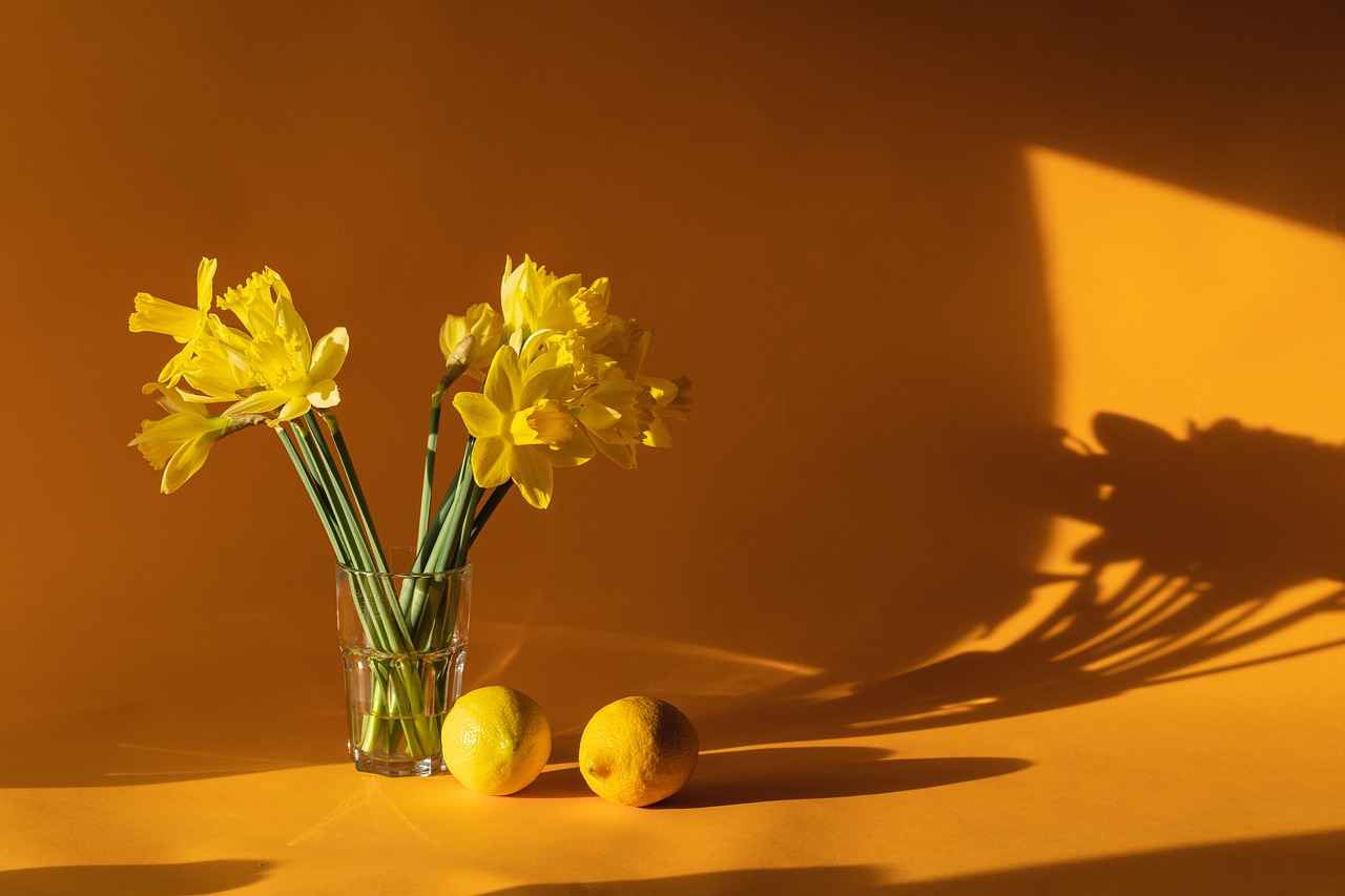 Smart Home Devices to Help You Live a More Sustainable Life